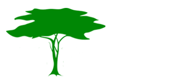 Toft Photo Safaris