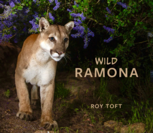 Wild Ramona book by Roy Toft